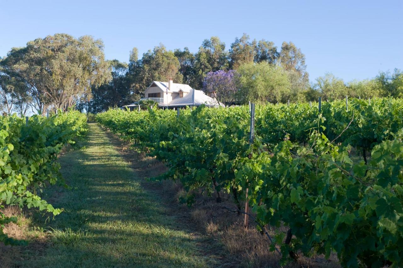 Hotel Spicers Vineyards Estate Pokolbin Exterior foto